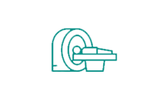 Fetal MRI